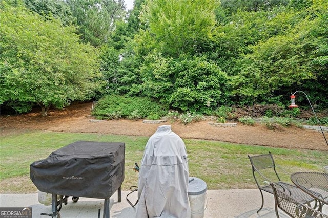 1865 Morgans Run Trl, Buford, GA 30519 - view of grassy yard featuring a patio area