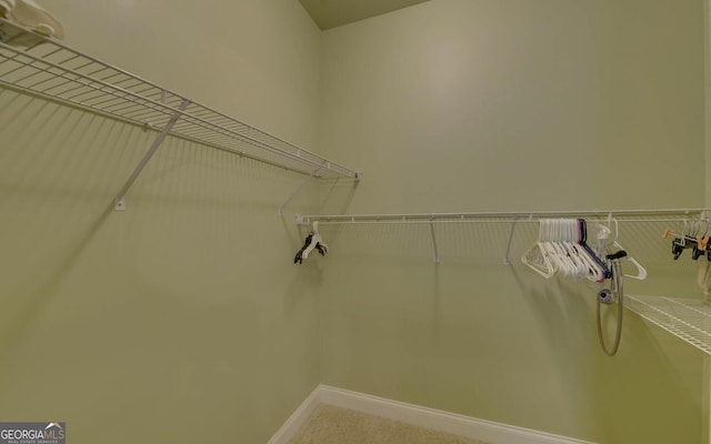 60 Villa Cts, Hartwell, GA 30643 - view of walk in closet
