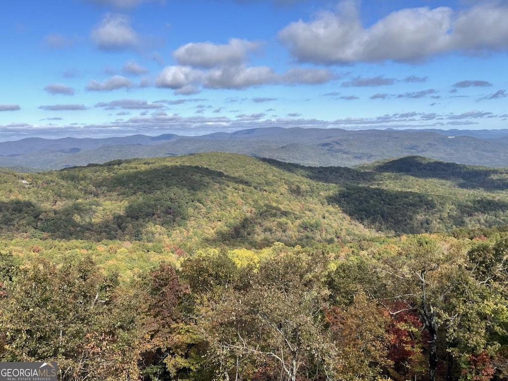 LOT04 Upper Sassafras Pkwy, Jasper, GA 30143
