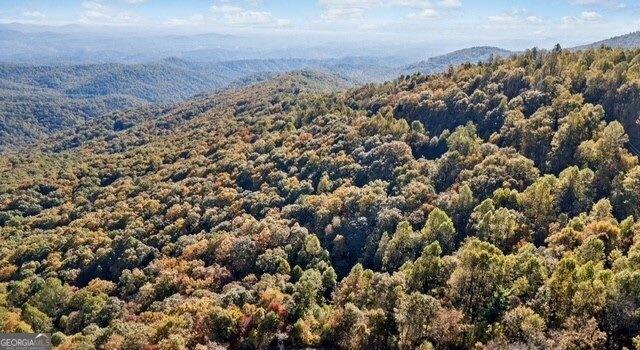 LOT04 Upper Sassafras Pkwy, Jasper, GA 30143