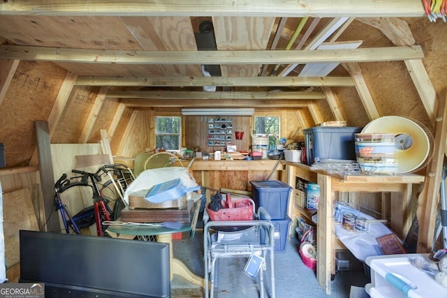 557 Hidden Pines Ct, Hiawassee, GA 30546 - view of storage