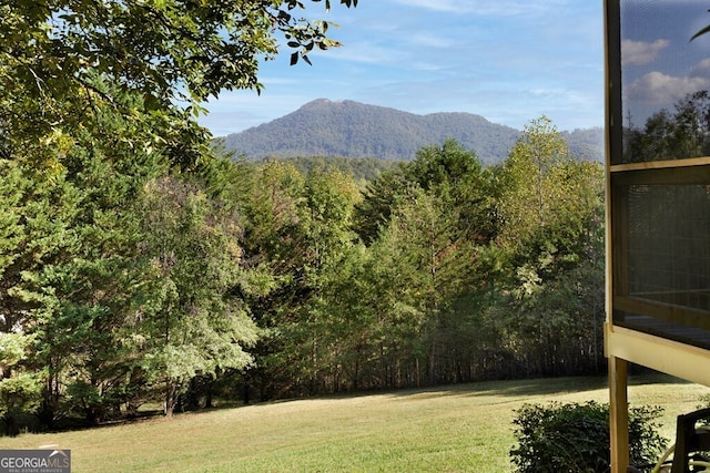 557 Hidden Pines Ct, Hiawassee, GA 30546 - view of mountain background featuring a heavily wooded area