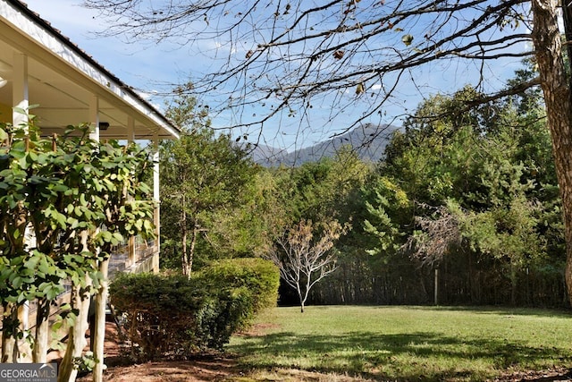 557 Hidden Pines Ct, Hiawassee, GA 30546 - view of grassy yard featuring a forest view