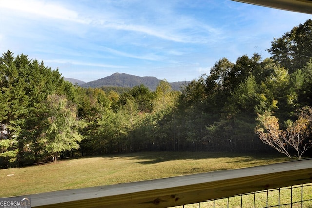 557 Hidden Pines Ct, Hiawassee, GA 30546 - view of mountain background featuring a forest