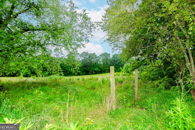 5198 Hwy 52 E, Ellijay, GA 30536 - view of local wilderness