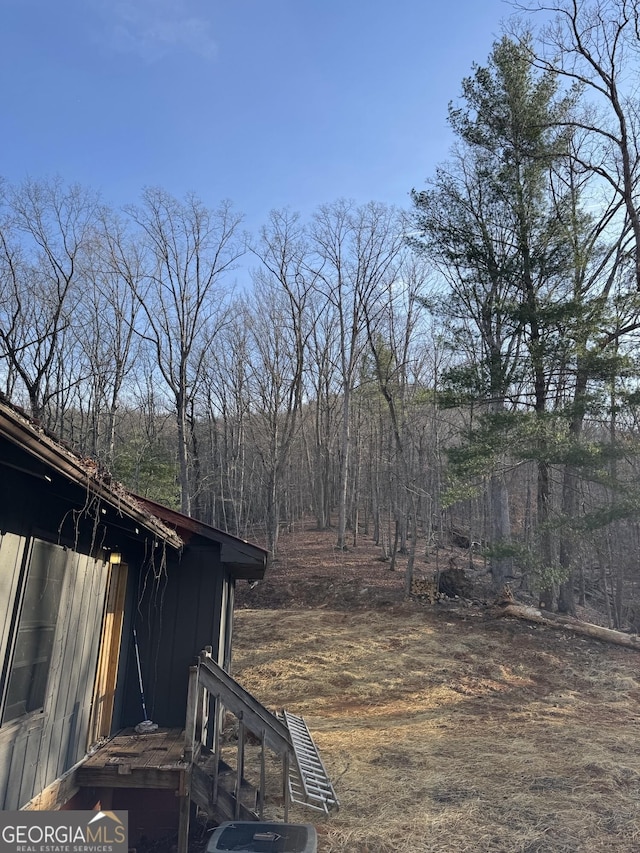427 Bakers Fiord, Sautee Nacoochee, GA 30571 - view of yard