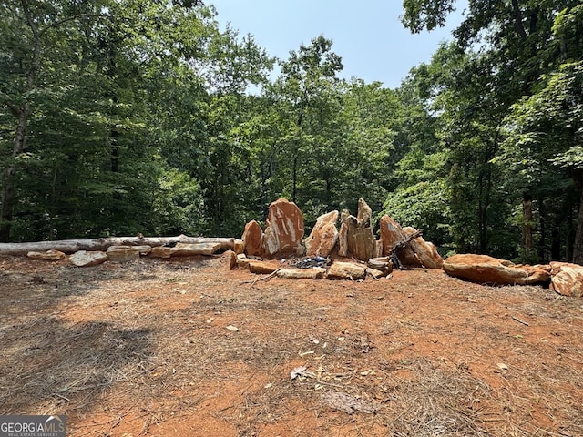 427 Bakers Fiord, Sautee Nacoochee, GA 30571 - view of wooded area