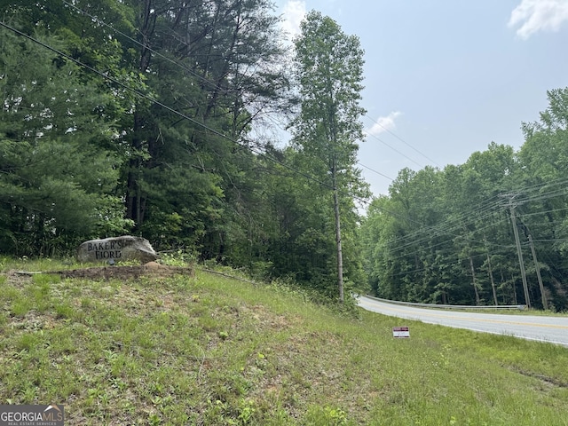 427 Bakers Fiord, Sautee Nacoochee, GA 30571 - view of yard featuring a wooded view