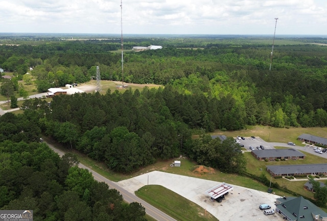 850 Buttermilk Rd, Sylvania, GA 30467