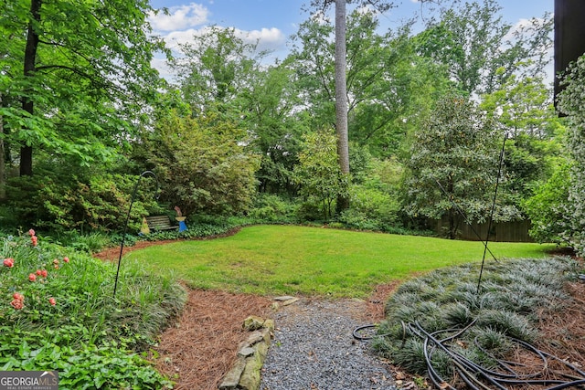 2700 Regency Dr E, Tucker, GA 30084 - view of green lawn