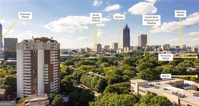 387 Ralph Mcgill Blvd NE Unit K, Atlanta, GA 30312 - skyline view