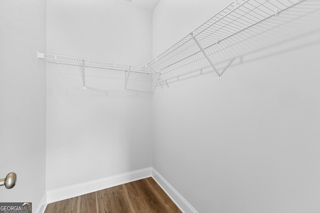213 Lenox Cir, Lagrange, GA 30241 - walk in closet with dark wood finished floors