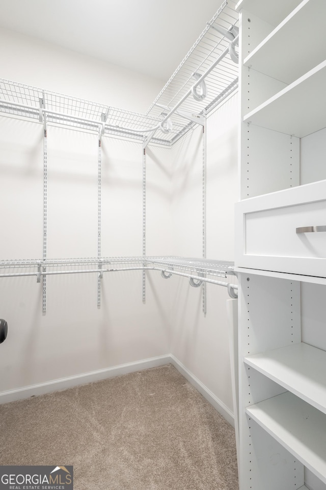 104 Bonny Oaks Dr, Lagrange, GA 30240 - spacious closet with carpet