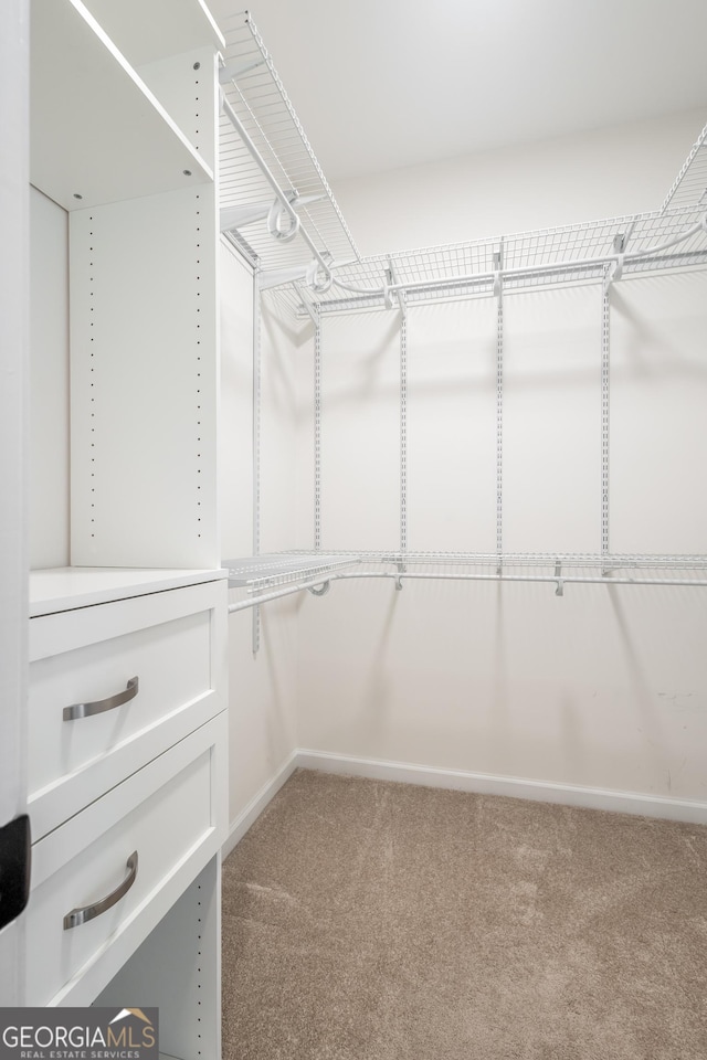 104 Bonny Oaks Dr, Lagrange, GA 30240 - walk in closet featuring carpet flooring