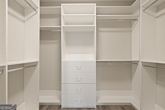 515 Youmans Rd, Midway, GA 31320 - view of spacious closet