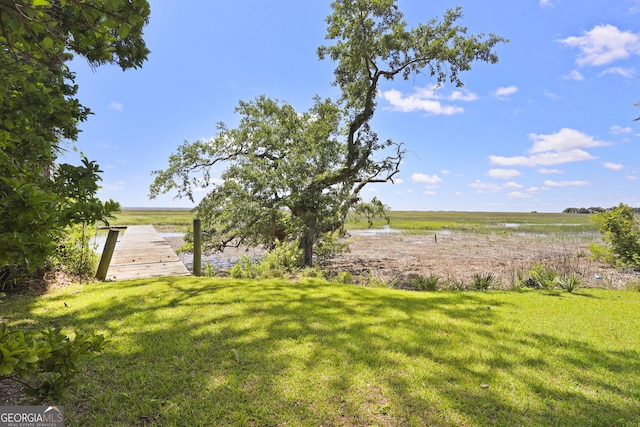 515 Youmans Rd, Midway, GA 31320 - view of green lawn with a water view