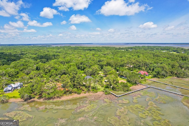 515 Youmans Rd, Midway, GA 31320 - aerial view of a forest and a nearby body of water