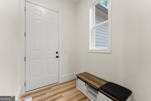 305 Etowah Cove Rd, Dahlonega, GA 30533 - entryway with light wood-type flooring and baseboards