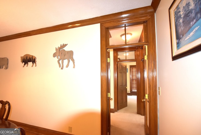 175 Corbin Ave Apt B, Macon, GA 31204 - corridor with carpet flooring and baseboards