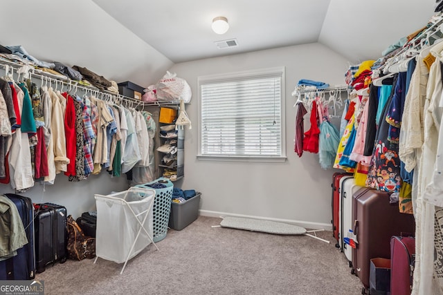 3755 Gardenside Ct, Alpharetta, GA 30004 - spacious closet with vaulted ceiling and carpet floors
