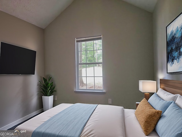 70 Priscilla Way, Newnan, GA 30265 - bedroom with vaulted ceiling and baseboards