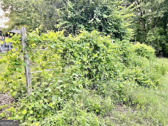 3272 Horace Rd, Bowman, GA 30624 - view of undeveloped land
