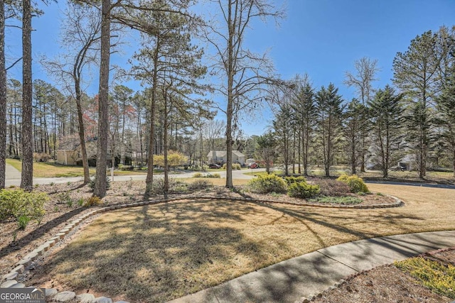 13 Cliff Ct, Villa Rica, GA 30180 - view of grassy yard