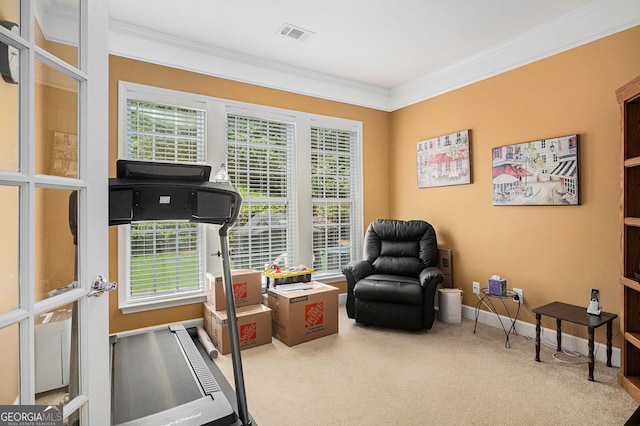 4445 Vanadium Bnd, Cumming, GA 30040 - workout area featuring crown molding and carpet floors