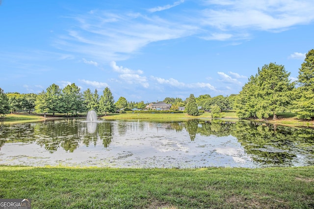 4445 Vanadium Bnd, Cumming, GA 30040 - water view