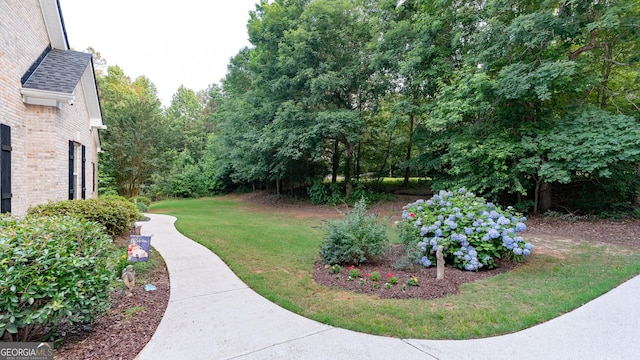 219 Periwinkle Way, Pendergrass, GA 30567 - view of grassy yard
