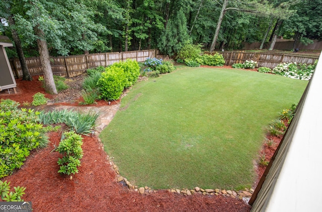 2059 Ivey Chase Dr, Dacula, GA 30019 - view of yard