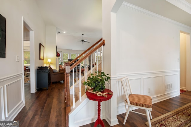 2059 Ivey Chase Dr, Dacula, GA 30019 - staircase with wood finished floors, a decorative wall, ceiling fan, wainscoting, and arched walkways