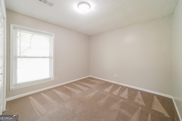 113 Lisa Ln, Carrollton, GA 30117 - spare room featuring light carpet, healthy amount of natural light, baseboards, and a textured ceiling