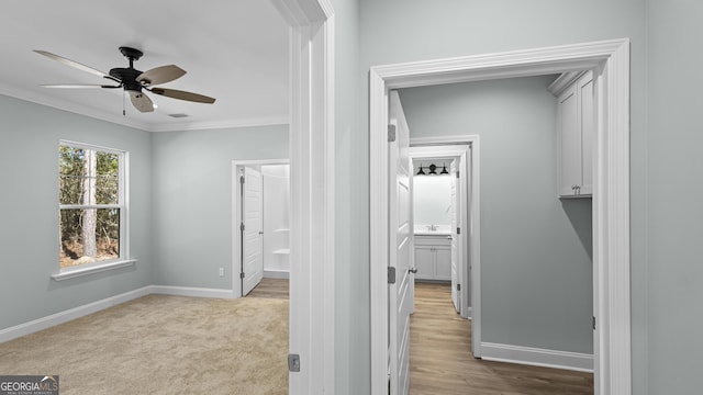 5016 Smith Rd SE, Townsend, GA 31331 - hall with ornamental molding and baseboards