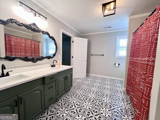 212 Teepee Trl, Whitesburg, GA 30185 - full bath featuring double vanity, ornamental molding, and a textured ceiling