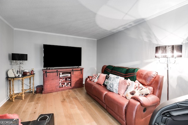 212 Teepee Trl, Whitesburg, GA 30185 - living area with wood finished floors, ornamental molding, and a textured ceiling