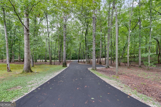 212 Teepee Trl, Whitesburg, GA 30185 - view of road featuring a wooded view