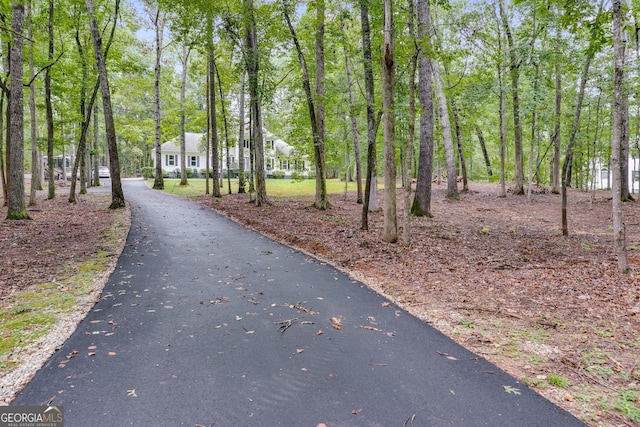 212 Teepee Trl, Whitesburg, GA 30185 - view of home's community with asphalt driveway