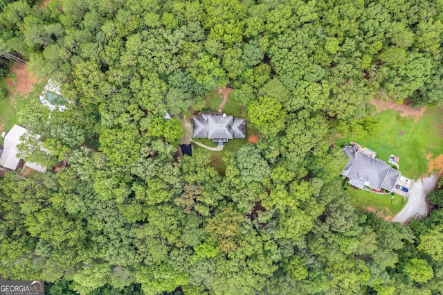 212 Teepee Trl, Whitesburg, GA 30185 - aerial view of property's location