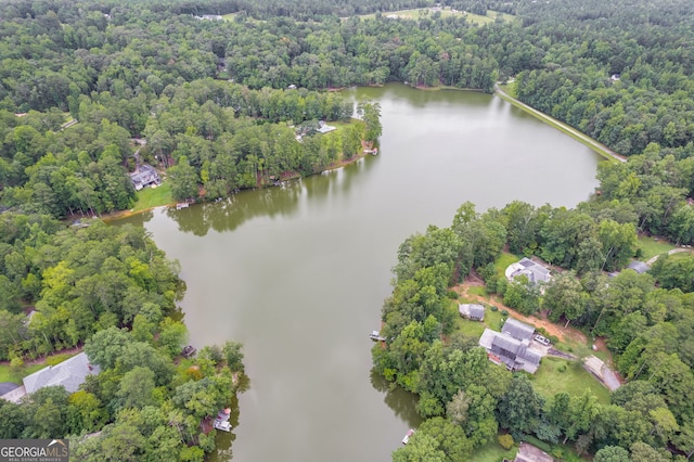 212 Teepee Trl, Whitesburg, GA 30185 - aerial view of a large body of water
