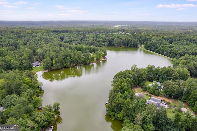 212 Teepee Trl, Whitesburg, GA 30185 - bird's eye view of a nearby body of water