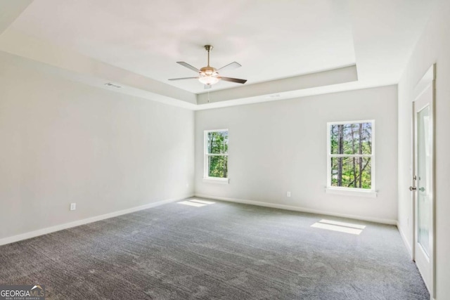 4300 Links Blvd, Jefferson, GA 30549 - unfurnished room with a raised ceiling, carpet floors, and healthy amount of natural light