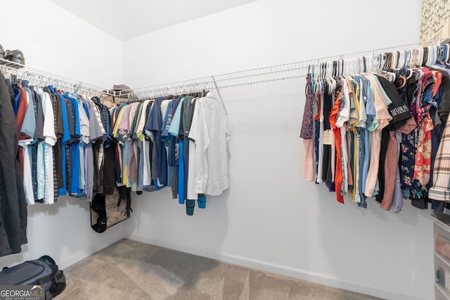8 Saint Charles Ave, Sharpsburg, GA 30277 - spacious closet with carpet