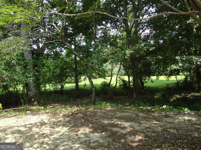 2958 Mary Alice Trl, Loganville, GA 30052 - view of nature