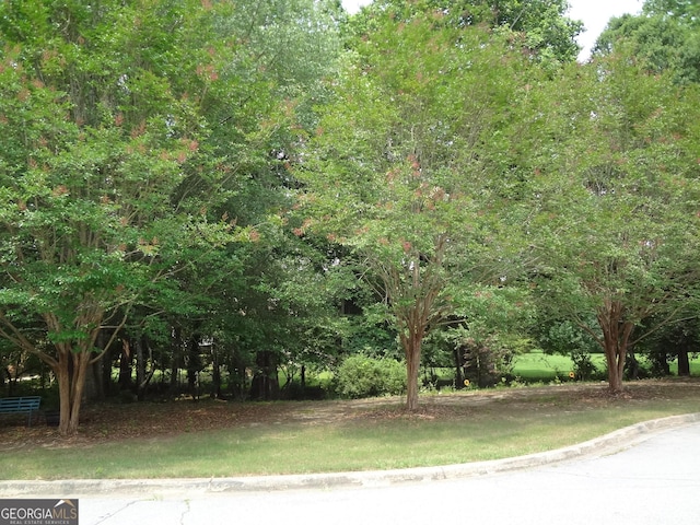 2958 Mary Alice Trl, Loganville, GA 30052 - view of yard