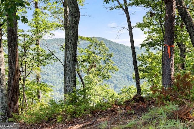 347 Highlands Dr, Clarkesville, GA 30523