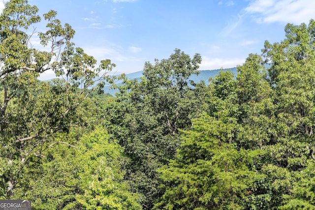 347 Highlands Dr, Clarkesville, GA 30523
