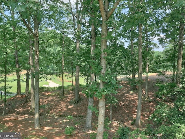 307 Worthing Ln, Mcdonough, GA 30253 - view of local wilderness