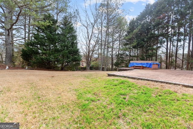 2030 Brook Meadow Dr, Alpharetta, GA 30005 - view of green lawn