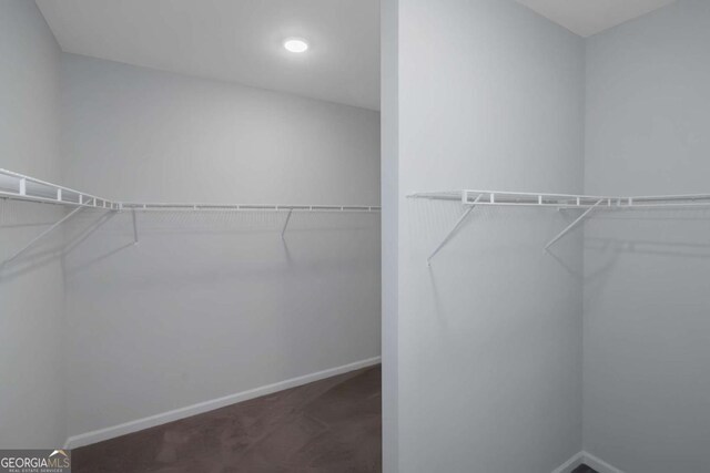 420 Tavistock Ct, Mcdonough, GA 30252 - spacious closet featuring carpet flooring